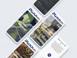 diseny web pujol ims terrecrea